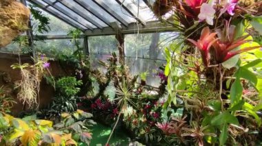 Forio, Campania, Italy  May 14, 2022: Internal overview of the tropical greenhouse at Giardini La Mortella