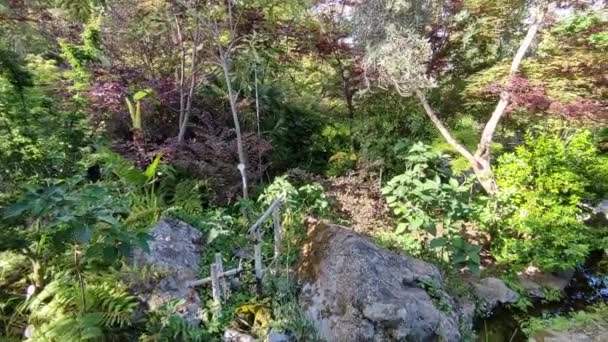 2022年5月14日イタリア カンパニア州フォリオ モルテッラ庭園のサラ タイ館からの東洋庭園の概要 — ストック動画