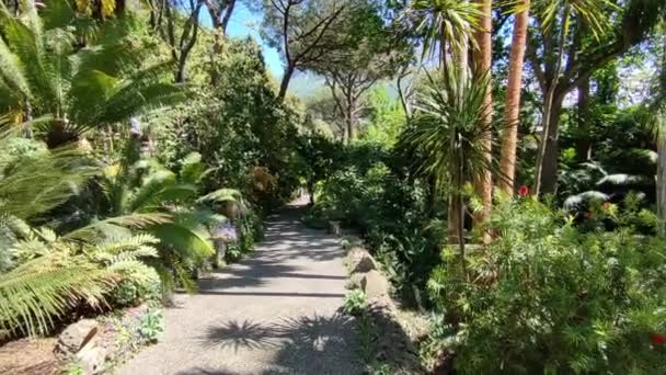 Forio Campania Italy May 2022 Overview Mortella Gardens Footpath — Stock Video