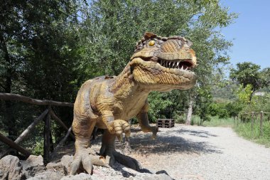 Motta Camastra, Sicilya, İtalya - 30 Ağustos 2020: Alcantara Gorges Botanik ve Jeoloji Parkının İçi