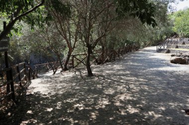 Motta Camastra, Sicilya, İtalya - 30 Ağustos 2020: Alcantara Gorges Botanik ve Jeoloji Parkının İçi