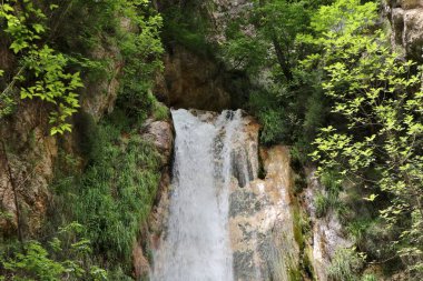 Senerchia, Campania, İtalya 24 Haziran 2023: Valle della Caccia WWWF Oasis 'de Acquabianca şelalesi doğa yolu