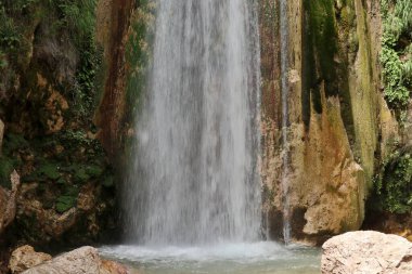 Senerchia, Campania, İtalya 24 Haziran 2023: Valle della Caccia WWWF Oasis 'de Acquabianca şelalesi doğa yolu