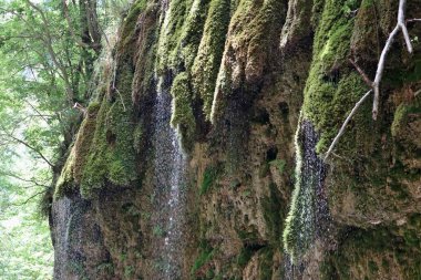 Senerchia, Campania, İtalya 24 Haziran 2023: Valle della Caccia WWWF Oasis 'de Acquabianca şelalesi doğa yolu