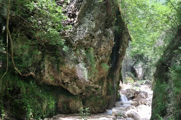 Senerchia, Campania, İtalya 24 Haziran 2023: Valle della Caccia WWWF Oasis 'de Acquabianca şelalesi doğa yolu