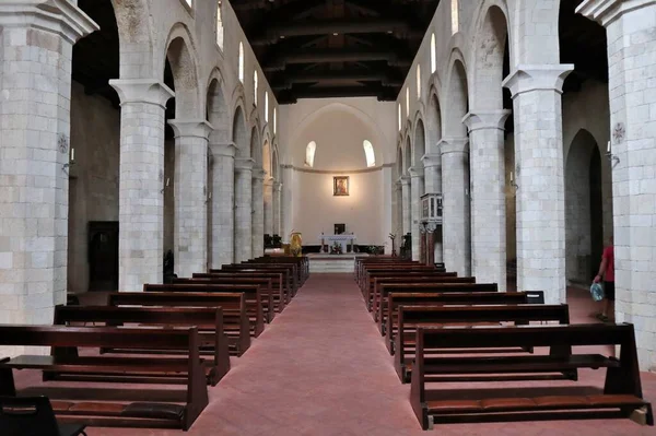 Tropea Calabria Itálie Června 2021 Interiér Katedrály Marie Santissima Romania — Stock fotografie