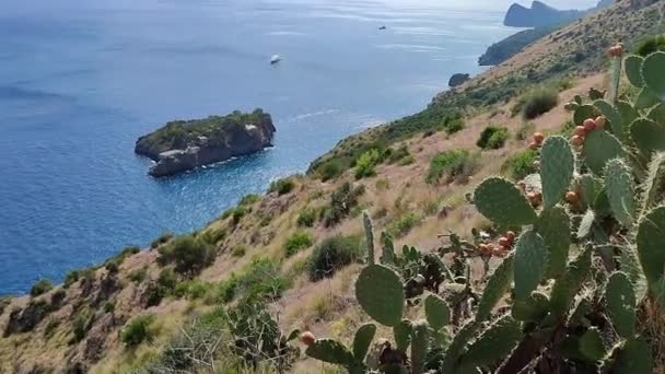 マッサ ルブレンツ カンパニア イタリア 2023年9月5日 トルカ村とクレポラ フィヨルドを結ぶ700ステップの経路からの海岸の概要 — ストック動画