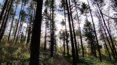 Campobasso, Molise, İtalya 24 Kasım 2023: Baranello ve Busso belediyelerine düşen Monte Vairano Natüralist Arkeoloji Parkı