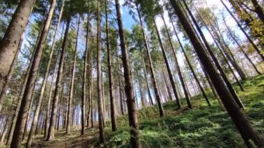 Campobasso, Molise, İtalya 24 Kasım 2023: Baranello ve Busso belediyelerine düşen Monte Vairano Natüralist Arkeoloji Parkı