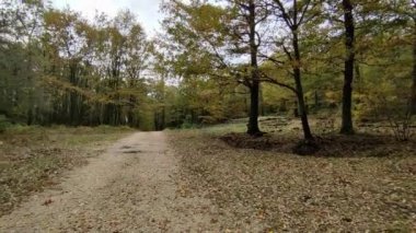 Campobasso, Molise, İtalya 24 Kasım 2023: Baranello ve Busso belediyelerine düşen Monte Vairano Natüralist Arkeoloji Parkı
