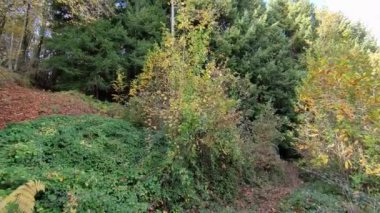 Campobasso, Molise, İtalya 24 Kasım 2023: Baranello ve Busso belediyelerine düşen Monte Vairano Natüralist Arkeoloji Parkı