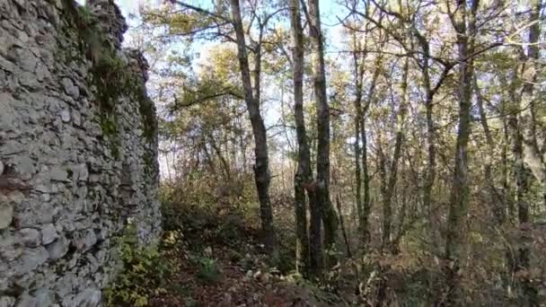 Campobasso Molise Itália Novembro 2023 Parque Arqueológico Naturalista Monte Vairano — Vídeo de Stock