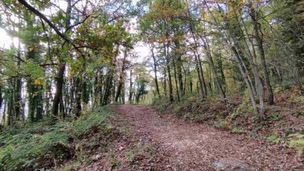 Campobasso Molise Italië November 2023 Monte Vairano Naturalistisch Archeologisch Park — Stockvideo