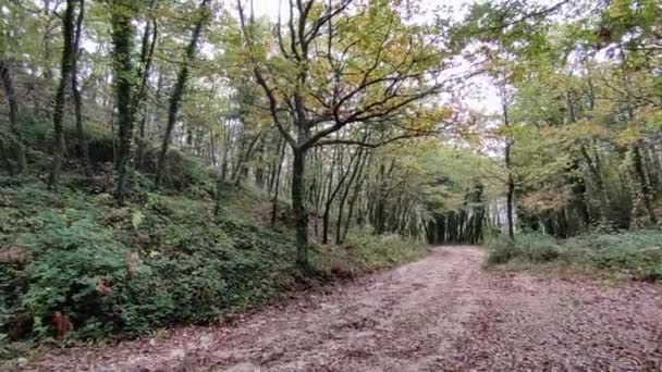 Campobasso Molise Italien November 2023 Naturalistischer Archäologischer Park Monte Vairano — Stockvideo