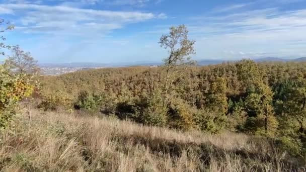 Campobasso Molise Itálie Listopadu 2023 Přírodní Archeologický Park Monte Vairano — Stock video