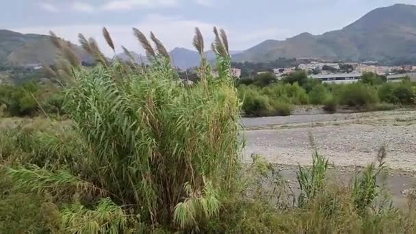 意大利Basilicata的Maratea 2023年9月23日 Noce河的Glimpse 标志着Basilicata和Calabria之间的边界 — 图库视频影像