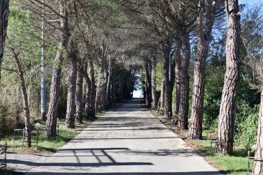 Campobasso, Molise, İtalya 9 Kasım 2023: Monforte Kalesi 'ne doğru giden Viale delle Rimembranze