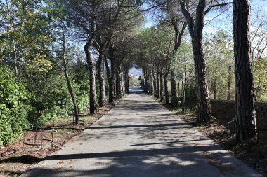 Campobasso, Molise, İtalya 9 Kasım 2023: Monforte Kalesi 'ne doğru giden Viale delle Rimembranze