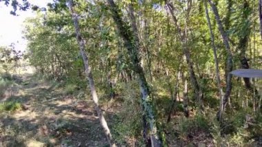 Castropignano, Molise, İtalya 26 Ekim 2023: Megalitik duvarların kalıntılarına uzanan Contrada Vallefrani yolu, M.Ö. 4. yüzyıldan kalma, ve Biferno Vadisi 'ne bakan kayalık bir uçurum olan Cantone della Fata' ya uzanır.