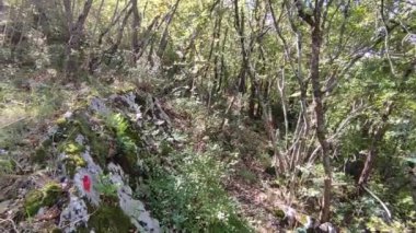 Castropignano, Molise, İtalya 26 Ekim 2023: Megalitik duvarların kalıntılarına uzanan Contrada Vallefrani yolu, M.Ö. 4. yüzyıldan kalma, ve Biferno Vadisi 'ne bakan kayalık bir uçurum olan Cantone della Fata' ya uzanır.