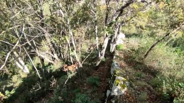 Castropignano Molise Italy October 2023 Remains Megalithic Walls Dating Back — Stock Video