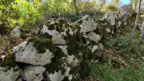 Castropignano Molise Italien Oktober 2023 Überreste Megalithischer Mauern Aus Dem — Stockvideo