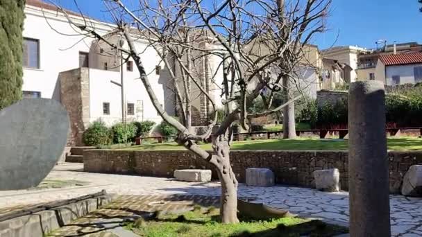 Benevento Campania Itália Fevereiro 2024 Hortus Conclusus Jardim Convento San — Vídeo de Stock
