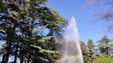 Benevento, Campania, İtalya - 15 Şubat 2024: Viale degli Atlantici boyunca Villa Comunale 1880 yılında botanik bahçesi olarak inşa edildi