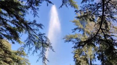 Benevento, Campania, İtalya - 15 Şubat 2024: Viale degli Atlantici boyunca Villa Comunale 1880 yılında botanik bahçesi olarak inşa edildi