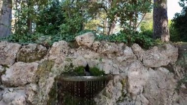 Benevento, Campania, İtalya - 15 Şubat 2024: Viale degli Atlantici boyunca Villa Comunale 1880 yılında botanik bahçesi olarak inşa edildi