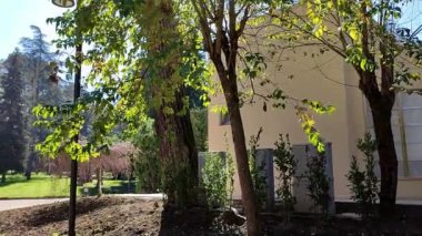 Benevento, Campania, İtalya - 15 Şubat 2024: Viale degli Atlantici boyunca Villa Comunale 1880 yılında botanik bahçesi olarak inşa edildi