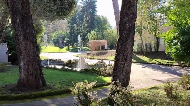Benevento Campania Febbraio 2024 Villa Comunale Lungo Viale Degli Atlantico — Video Stock