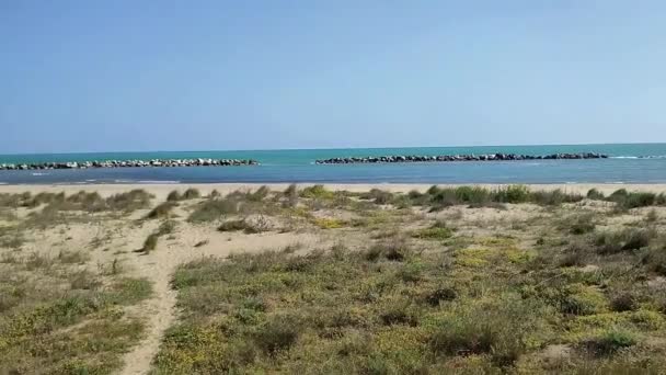 テルモリ モリス イタリア 2024 トルから海へのアクセスを持つリオ ヴォヴィオ ビーチ — ストック動画