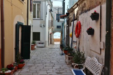 Termoli, Molise, İtalya: Adriyatik Denizi 'ndeki güçlendirilmiş köy, Swabian Kalesi tarafından 11. yüzyılda inşa edildi.