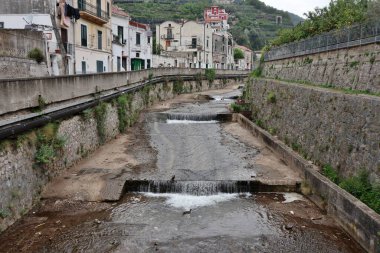Maiori, Campania, İtalya 16 Nisan 2024: Via Chiunzi 'deki Reginna nehrinin yatağında kuş yaşamı