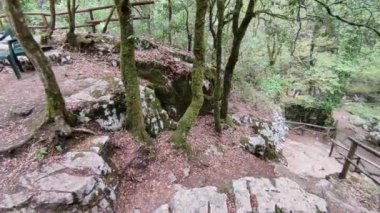 Morigerati, Campania, İtalya - 20 Eylül 2023: WWWF Grotte del Bussento in the Cilento, Vallo di Diano and Alburni National Park, 1998 'den beri UNESCO' nun miras alanı