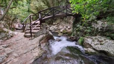 Morigerati, Campania, İtalya - 20 Eylül 2023: WWWF Grotte del Bussento in the Cilento, Vallo di Diano and Alburni National Park, 1998 'den beri UNESCO' nun miras alanı