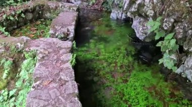 Morigerati, Campania, İtalya - 20 Eylül 2023: WWWF Grotte del Bussento in the Cilento, Vallo di Diano and Alburni National Park, 1998 'den beri UNESCO' nun miras alanı