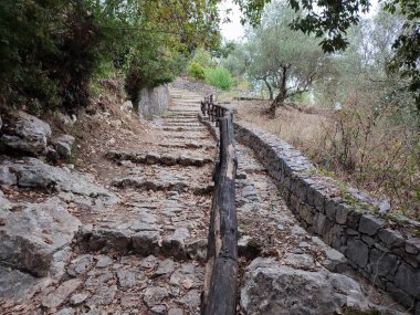 Morigerati, Campania, İtalya - 20 Eylül 2023: WWWF Grotte del Bussento in the Cilento, Vallo di Diano and Alburni National Park, 1998 'den beri UNESCO' nun miras alanı