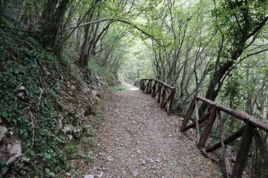 Casaletto Spartano, Campania, Italy - September 20, 2023: Oasis Cascate dei Capelli di Venere in the Cilento, Vallo di Diano and Alburni National Park, a UNESCO heritage site since 1998 clipart