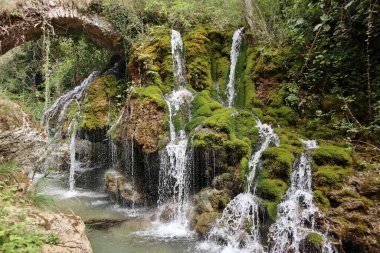 Casaletto Spartano, Campania, Italy - September 20, 2023: Oasis Cascate dei Capelli di Venere in the Cilento, Vallo di Diano and Alburni National Park, a UNESCO heritage site since 1998 clipart