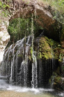 Casaletto Spartano, Campania, Italy - September 20, 2023: Oasis Cascate dei Capelli di Venere in the Cilento, Vallo di Diano and Alburni National Park, a UNESCO heritage site since 1998 clipart