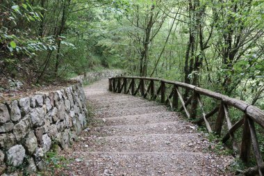 Casaletto Spartano, Campania, Italy - September 20, 2023: Oasis Cascate dei Capelli di Venere in the Cilento, Vallo di Diano and Alburni National Park, a UNESCO heritage site since 1998 clipart