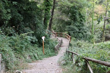 Casaletto Spartano, Campania, Italy - September 20, 2023: Oasis Cascate dei Capelli di Venere in the Cilento, Vallo di Diano and Alburni National Park, a UNESCO heritage site since 1998 clipart