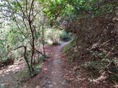 Agropoli, Salerno, Campania, İtalya, 31 Ağustos 2024: Sentiero del Sale, veya Trentova Körfezi 'nden Belvedere dei Trezeni, Santa Maria di Castellabate' ye ulaşan 700 Monte Tresino yolu.