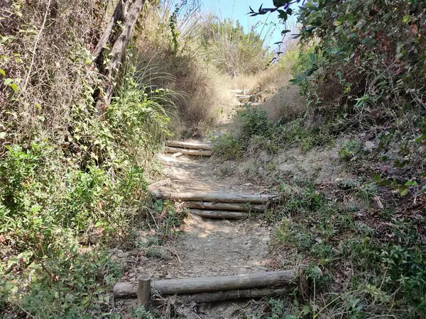 stock image Agropoli, Salerno, Campania, Italy  August 31, 2024: Sentiero del Sale, or path 700 of Monte Tresino, which from the Bay of Trentova arrives at the Belvedere dei Trezeni in Santa Maria di Castellabate