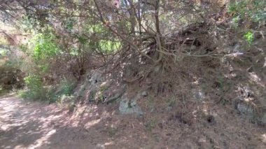 Agropoli, Salerno, Campania, İtalya, 31 Ağustos 2024: Sentiero del Sale, veya Trentova Körfezi 'nden Belvedere dei Trezeni, Santa Maria di Castellabate' ye ulaşan 700 Monte Tresino yolu.