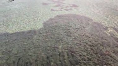Castellabate, Salerno, Campania, İtalya 18 Eylül 2024: Punta Licosa ile San Marco di Castellabate arasındaki kıyı şeridi