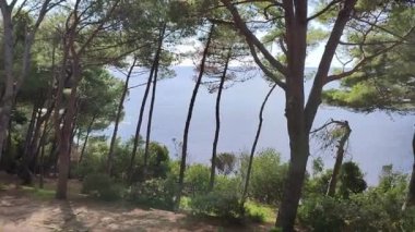 Castellabate, Salerno, Campania, İtalya 19 Eylül 2024: Le Grotte Doğa Patikası San Marco di Castellabate limanını Pozzillo üzerinden birbirine bağlayan
