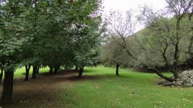 Villetta Barrea, Abruzzo, İtalya 9 Eylül 2024: Abruzzo 'daki Daini Ziyaretçi Merkezi, Lazio ve Molise Ulusal Parkı